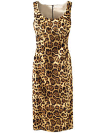 leopard