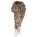 leopard2