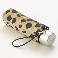 leopard5