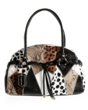 leopard6